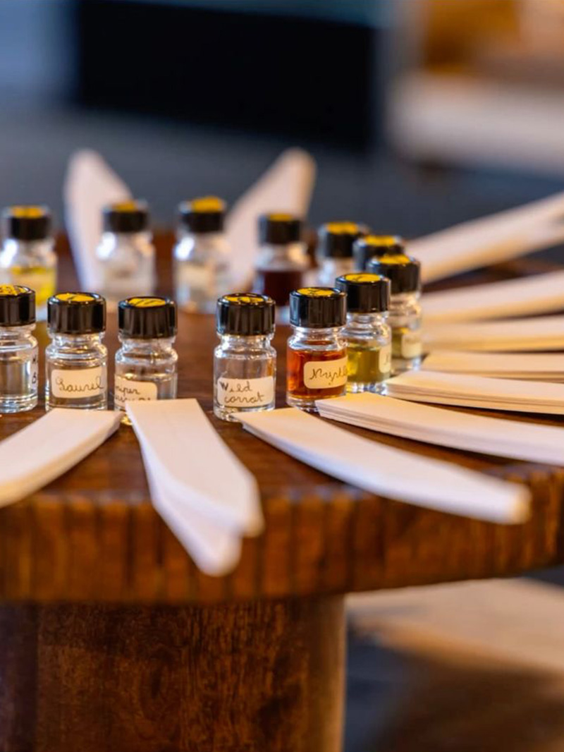 Marina Rinaldi 800x1066 2 Marina Rinaldi